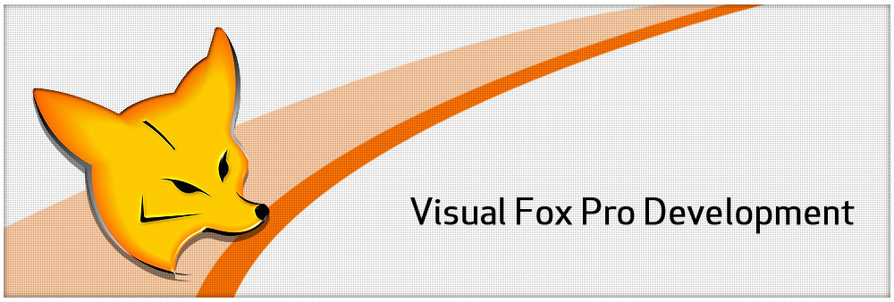 visual foxpro 9.0 portable download